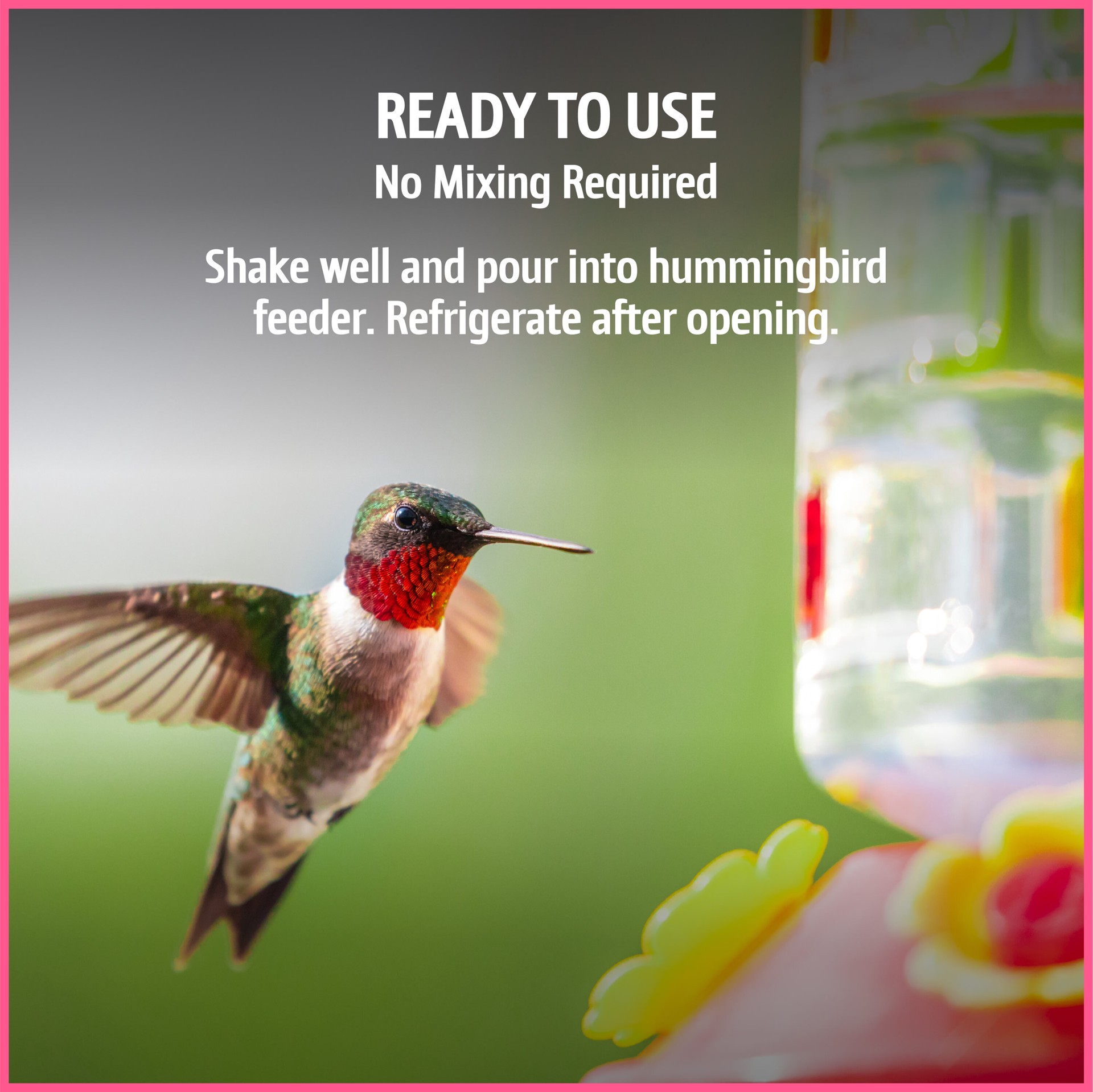 slide 6 of 6, Pennington Ultra Electro-Nectar Sugar Hummingbird nectar 80 Ounce(s), 1 ct