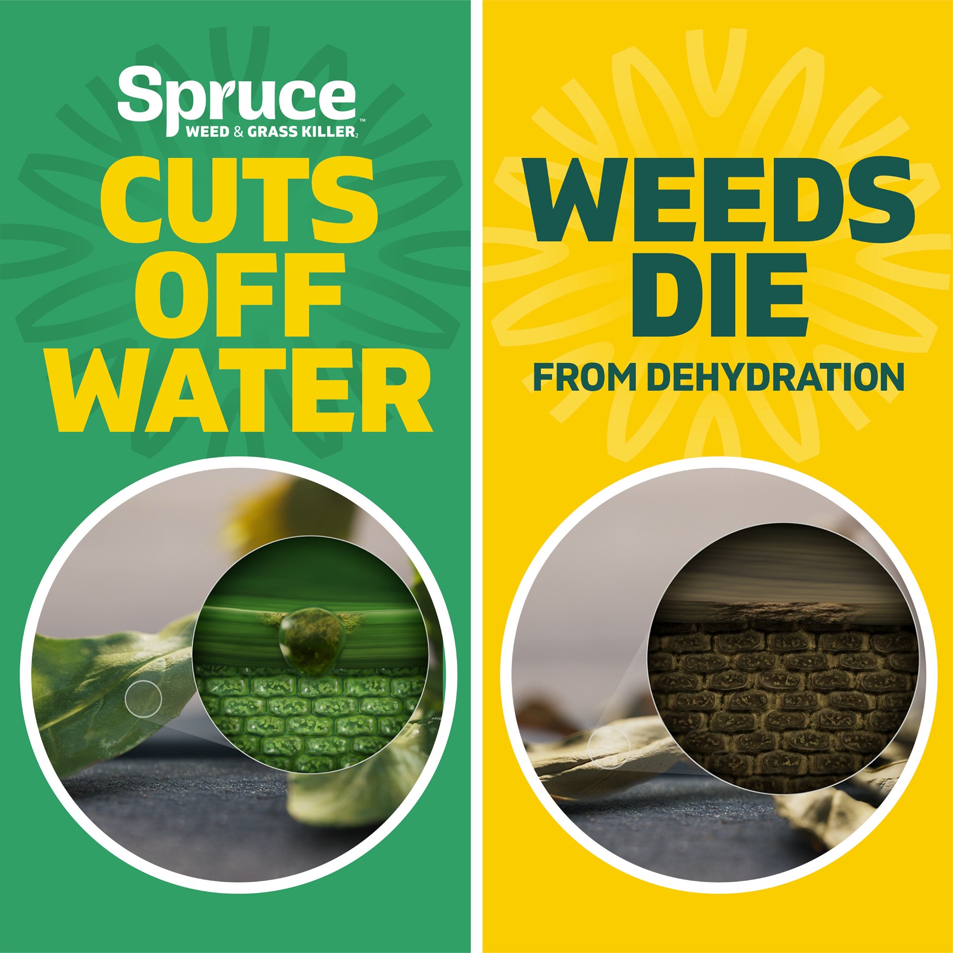 slide 6 of 6, Spruce Snap and Spray Powered Starter Kit 64 -fl oz Trigger spray Weed and Grass Killer, 1 ct