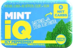 Mint Iq Icy Peppermint Sugarfree