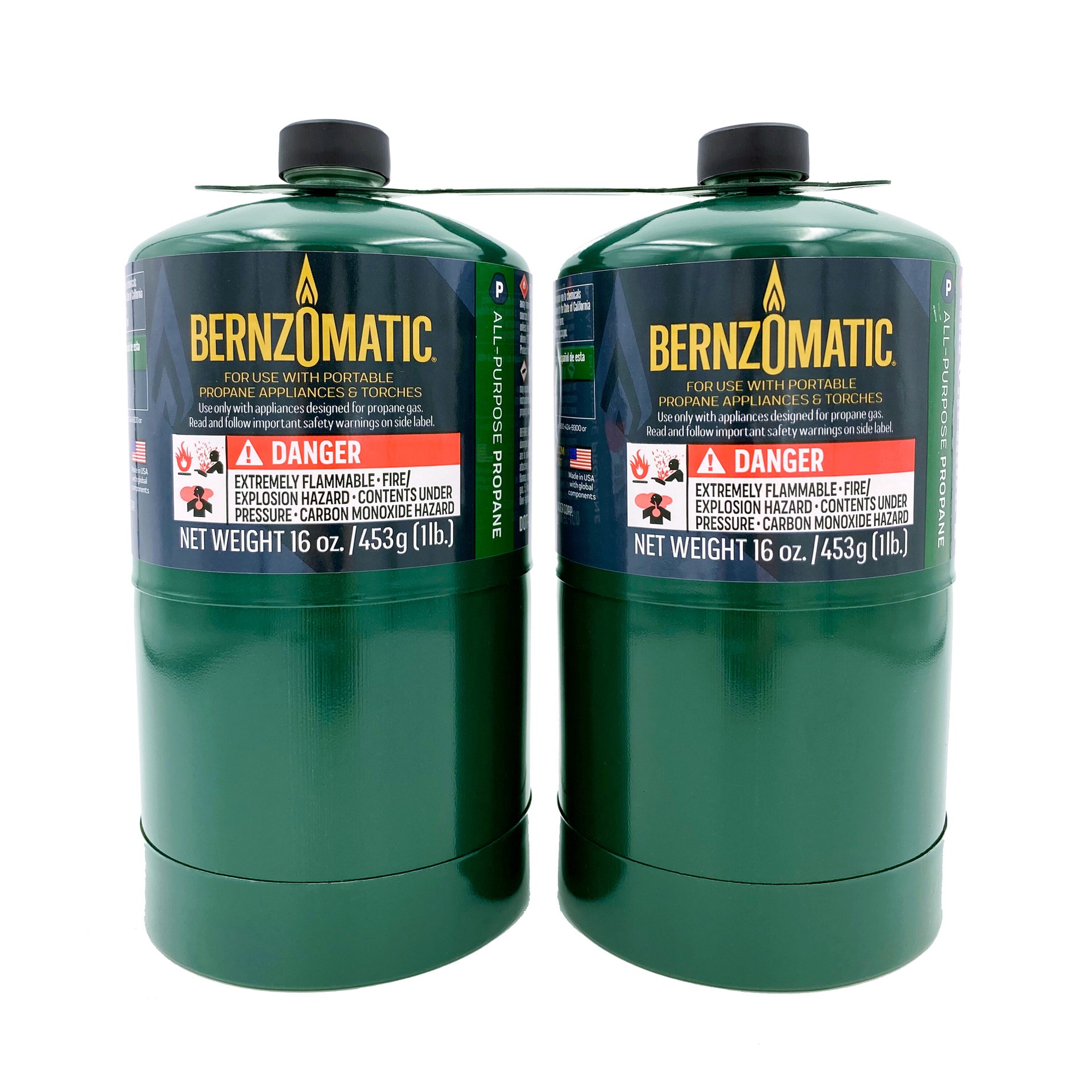 slide 1 of 1, Bernzomatic 2-Pack Green Steel Propane Tanks 8x8x4 Inches Pre-Filled Lightweight Portable Fuel for Appliances, Grills, Lanterns, 1 ct