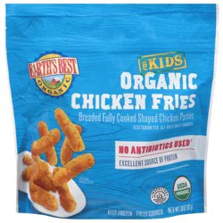 Earth's Best Organic Frozen Chicken Fries for Kids - 10oz