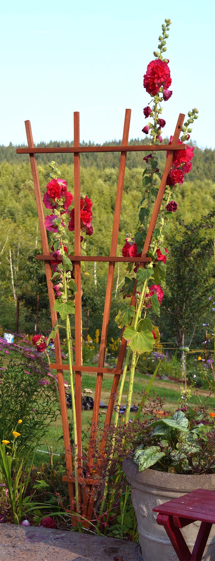 slide 1 of 6, Garden Architecture 32-in W x 72-in H Brown stain wood Traditional Garden Trellis For Climbing Plants For Roses, 1 ct