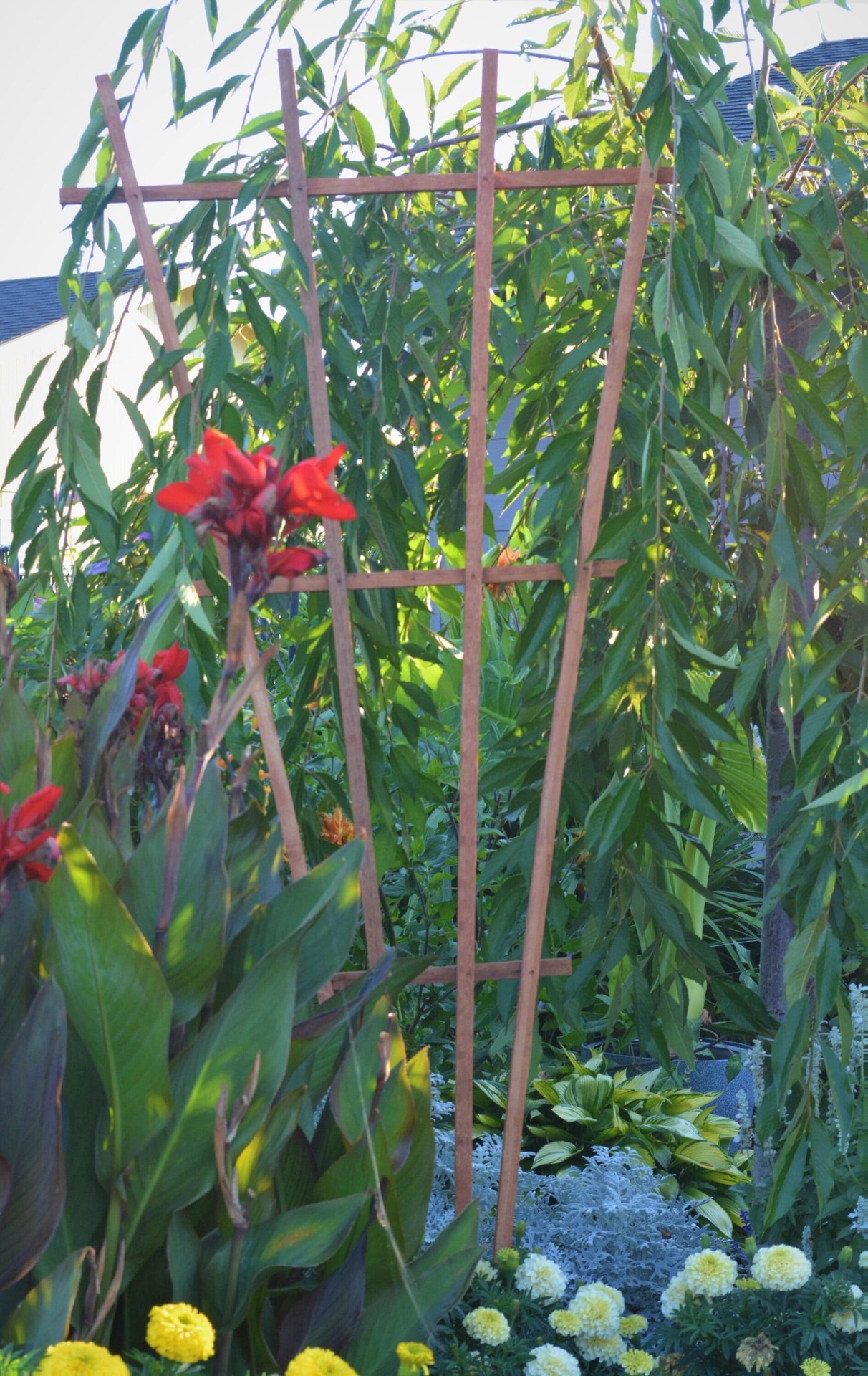 slide 6 of 6, Garden Architecture 32-in W x 72-in H Brown stain wood Traditional Garden Trellis For Climbing Plants For Roses, 1 ct