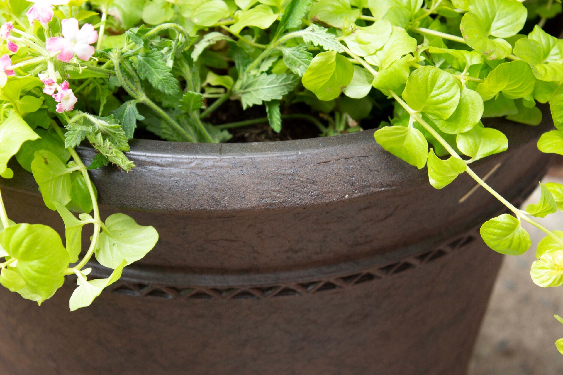 slide 3 of 6, allen + roth Round 19.8-in W x 19.8-in L Brown Resin Indoor/Outdoor Planter, 1 ct