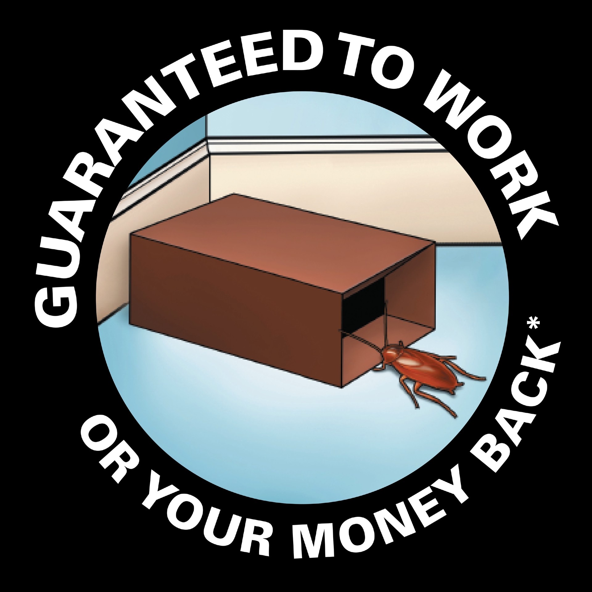 slide 6 of 6, BLACK FLAG Roach Motel Indoor Insect trap 2 -Pack, 1 ct
