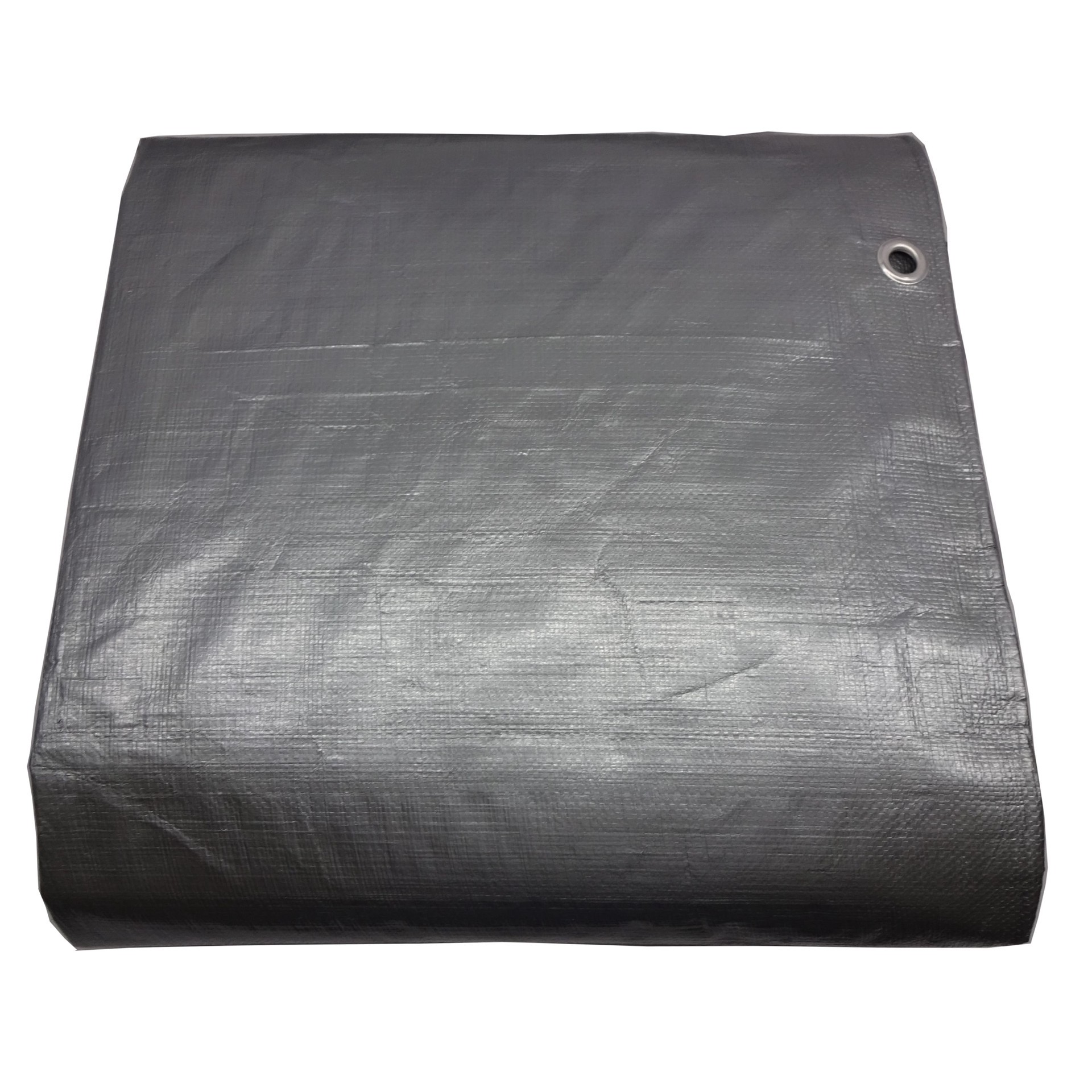 slide 3 of 6, Project Source 20-ft x 30-ft Silver Waterproof Standard Polyethylene 10-mil Tarp, 1 ct