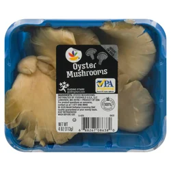 Giant Oyster Mushrooms