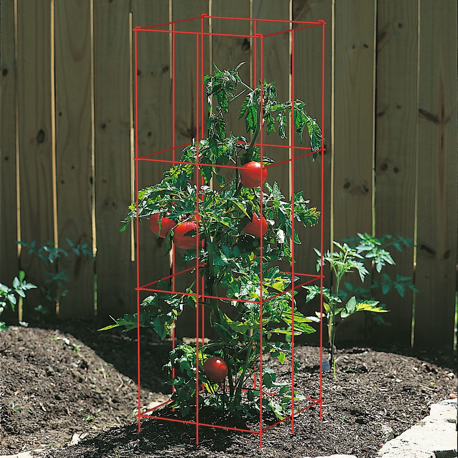 slide 2 of 4, 47-in Powder-coated galvanized steel wire Square Tomato Cage, 1 ct