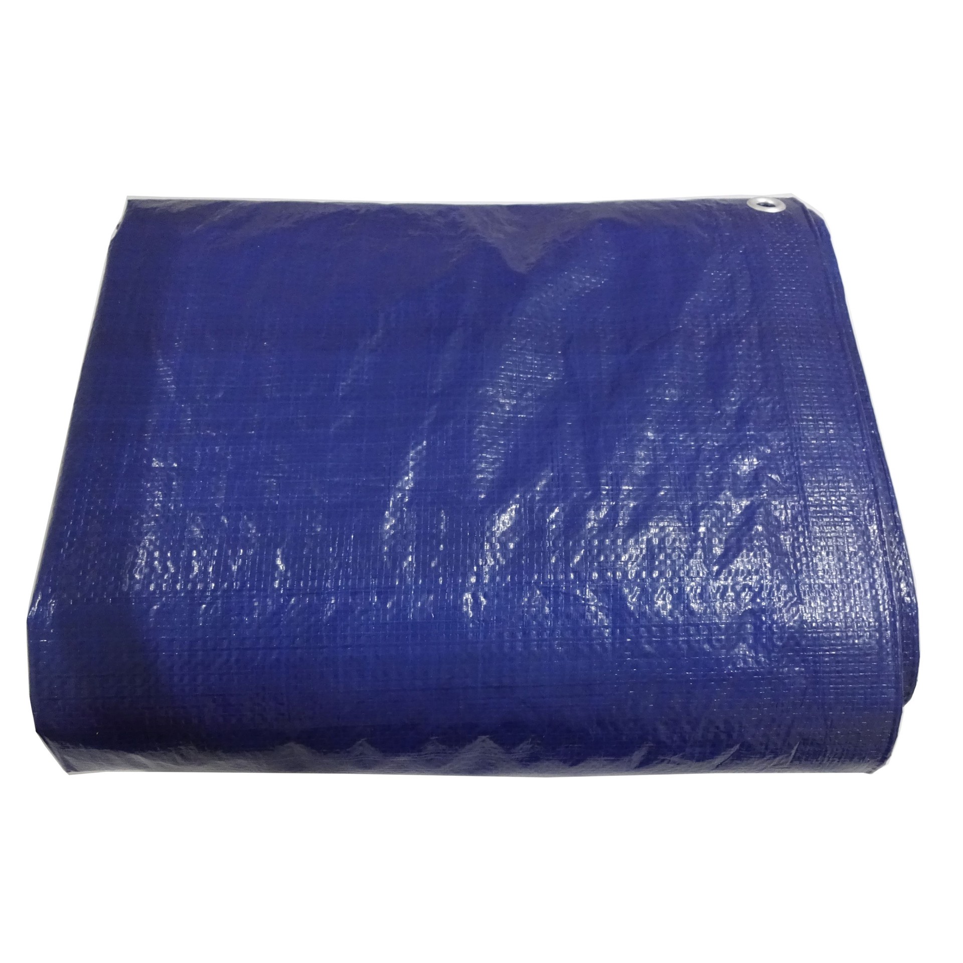 slide 6 of 6, Project Source 8-ft x 6-ft Blue Waterproof Standard Polyethylene 5-mil Tarp, 1 ct