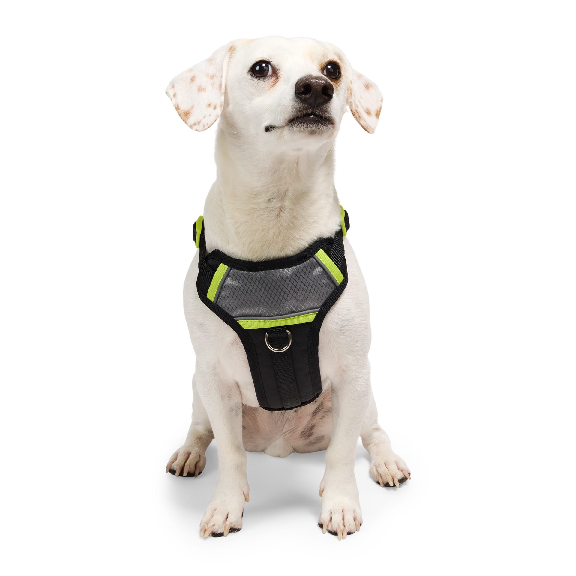 slide 1 of 1, YOULY Adventure Reflective Dog Harness, Black, Medium, MED