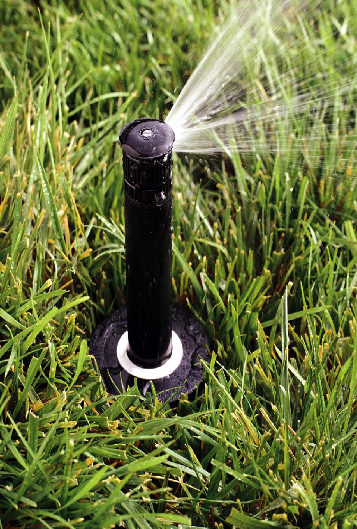 slide 5 of 6, Rain Bird 8-ft - 15-ft Quarter-circle Spray 3-in Pop-up spray head sprinkler, 1 ct