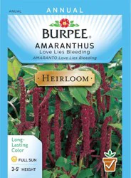 Burpee Perennials Amaranthus Love Lies Bleeding