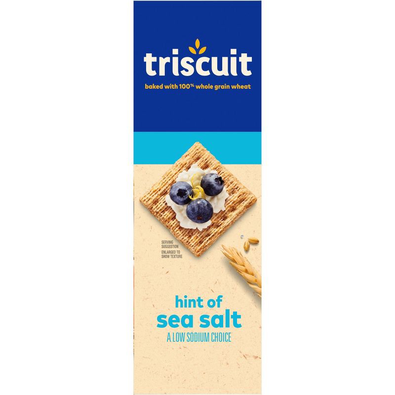 slide 10 of 19, Triscuit Top Hint Of Salt Grain Crackers - 8.5oz, 8.5 oz