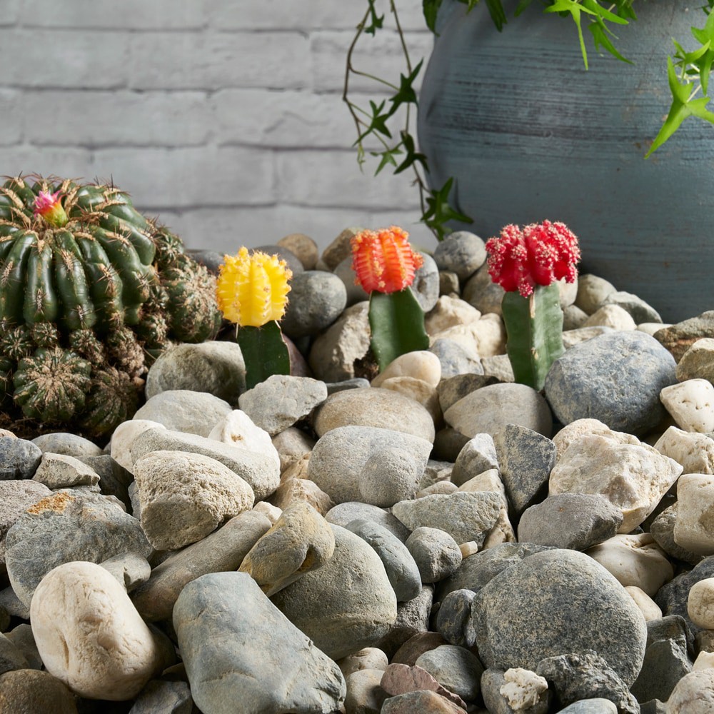 slide 3 of 5, EARTHESSENTIALS BY QUIKRETE Extra Large 0.5 cu ft Multicolor River rock (0.5 - 3-in), 1 ct