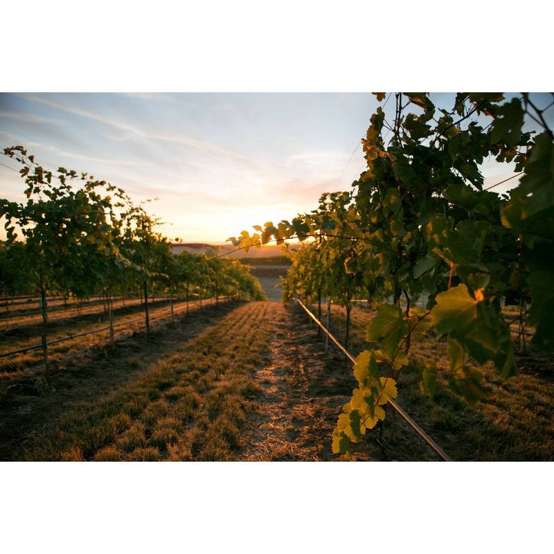 slide 4 of 4, Pendulum Red Blend Wine - 750ml Bottle, 750 ml