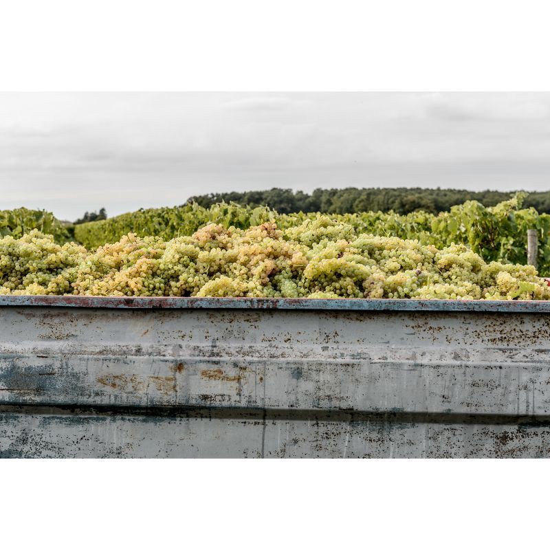 slide 17 of 22, Remy Martin V.S.O.P Cognac - 375ml Bottle, 375 ml