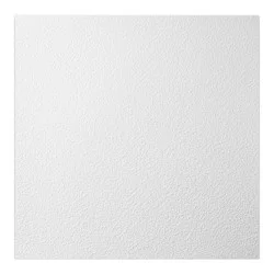 Genesis 2-ft x 2-ft Stucco Pro White PVC Drop Ceiling Tile ( 4-sq ft / piece)