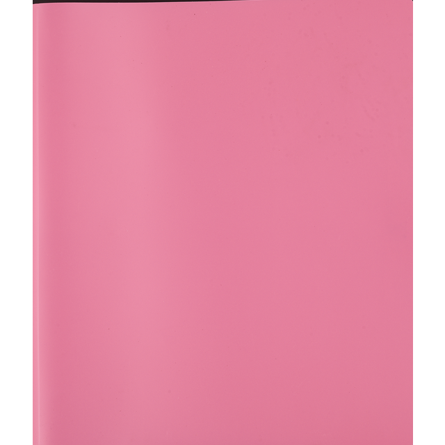 slide 1 of 1, Acco Plastic Binder St:Reg, 1 ct