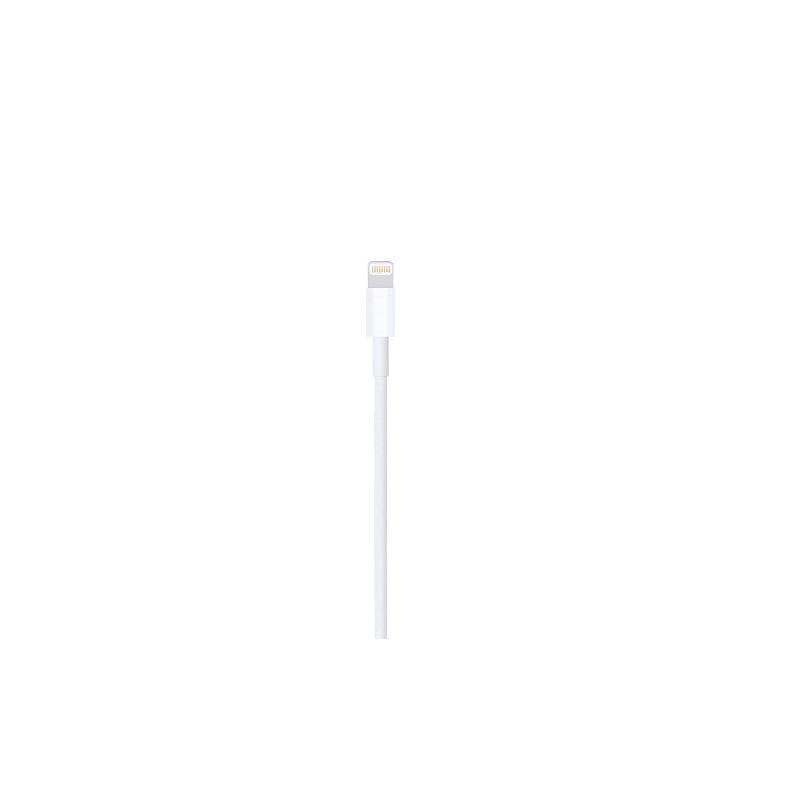 slide 2 of 3, Apple Lightning to USB Cable (0.5 m), 1 ct