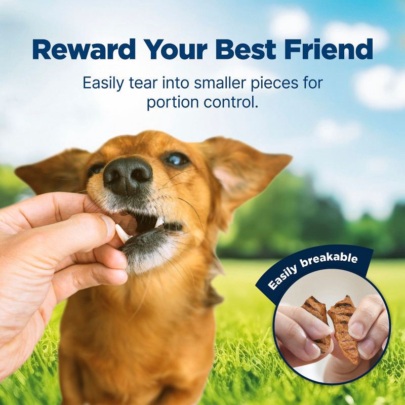 slide 4 of 10, Blue Buffalo Nudges Grillers Natural Dog Treats with Chicken - 16oz, 16 oz