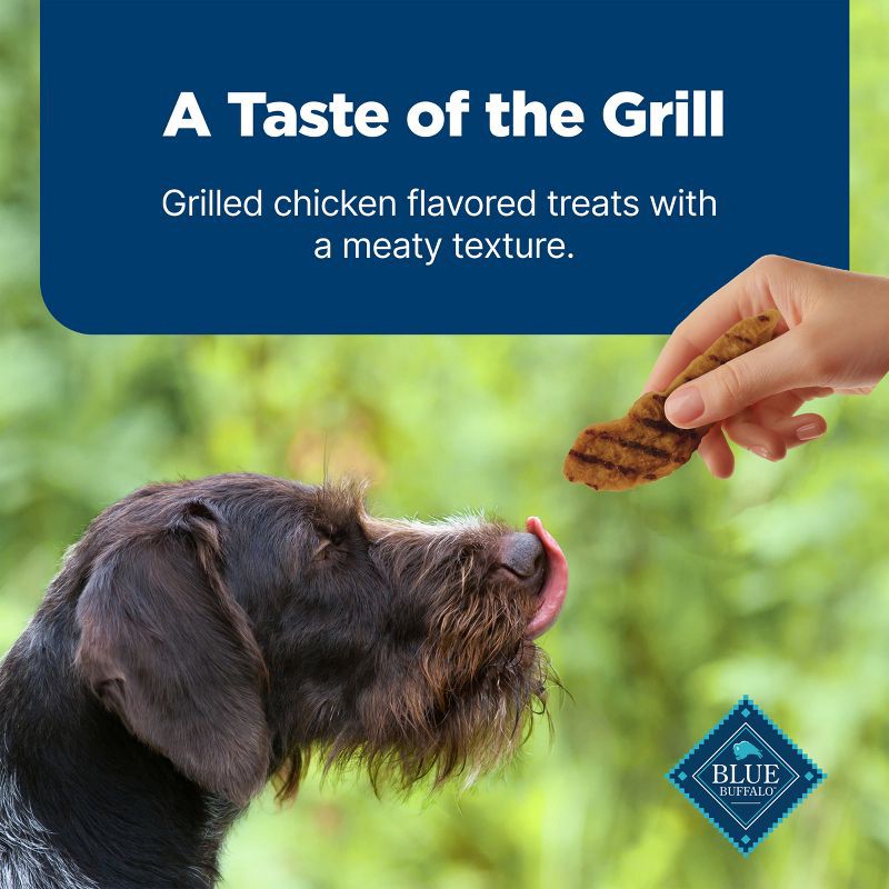 slide 6 of 10, Blue Buffalo Nudges Grillers Natural Dog Treats with Chicken - 16oz, 16 oz