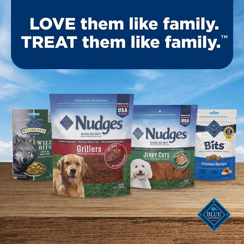 slide 8 of 10, Blue Buffalo Nudges Grillers Natural Dog Treats with Chicken - 16oz, 16 oz