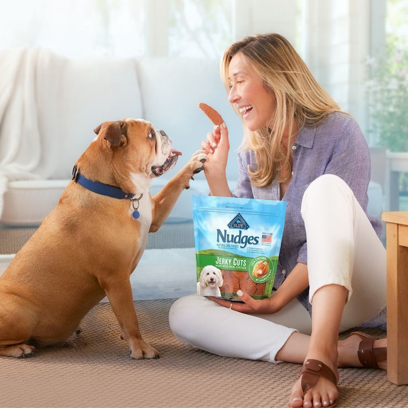 Blue Buffalo Nudges Grillers Natural Dog Treats with Beef Steak 16oz