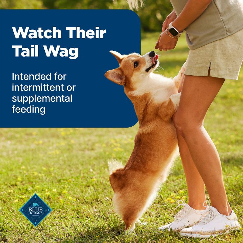 slide 8 of 10, Blue Buffalo Nudges Grillers Natural Dog Treats with Beef Steak - 16oz, 16 oz