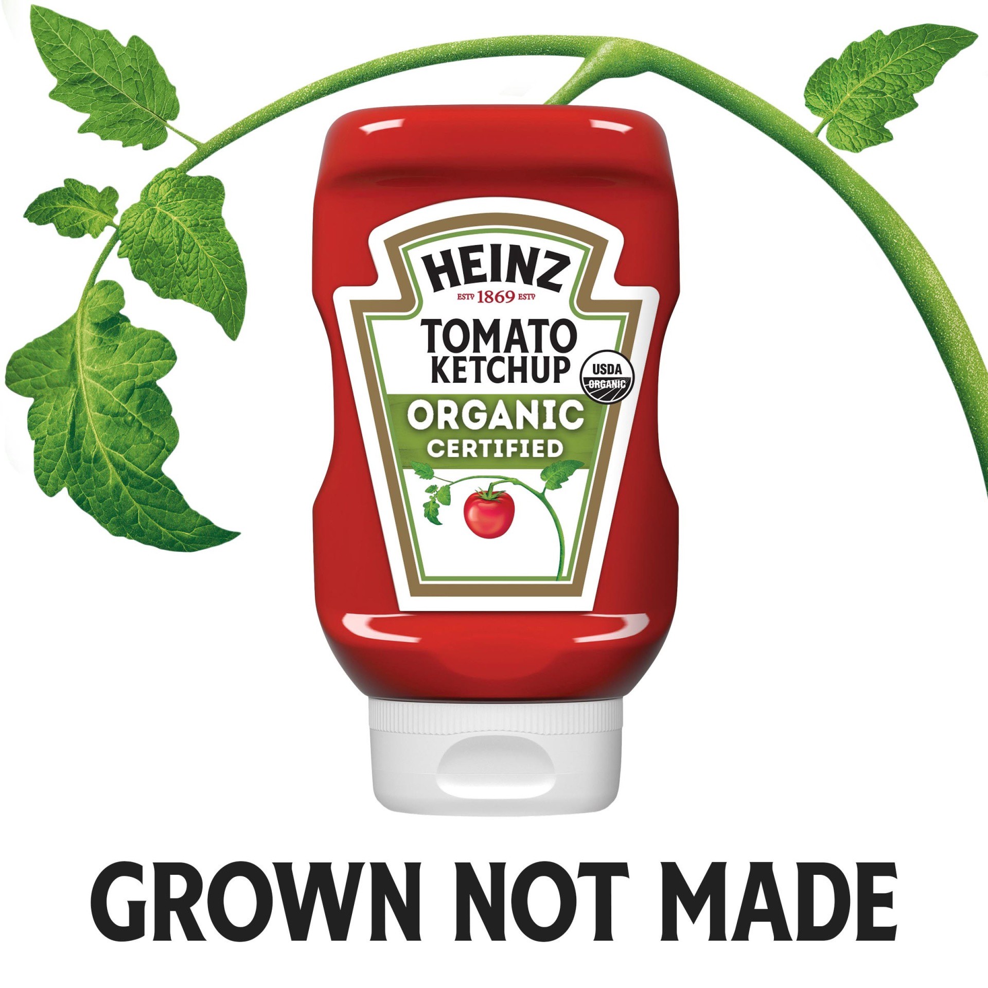 slide 5 of 12, Heinz Organic Tomato Ketchup Easy Squeeze Bottle, 14 oz
