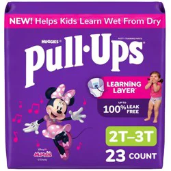 Pull-Ups Girls' Learning Designs Training Pants - Size 2T-3T - 23ct: No Fragrance, Minnie Mouse, Cotton, Disney, Hypoallergenic