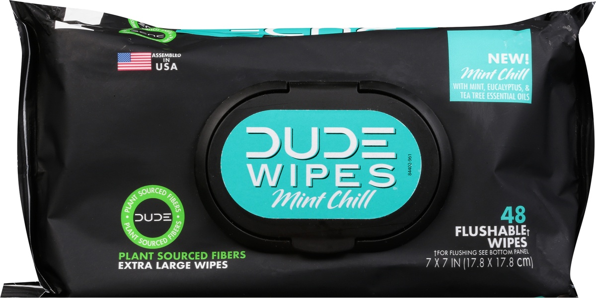 slide 5 of 10, DUDE Wipes Mint Chill Flushable Wipes, 144 ct