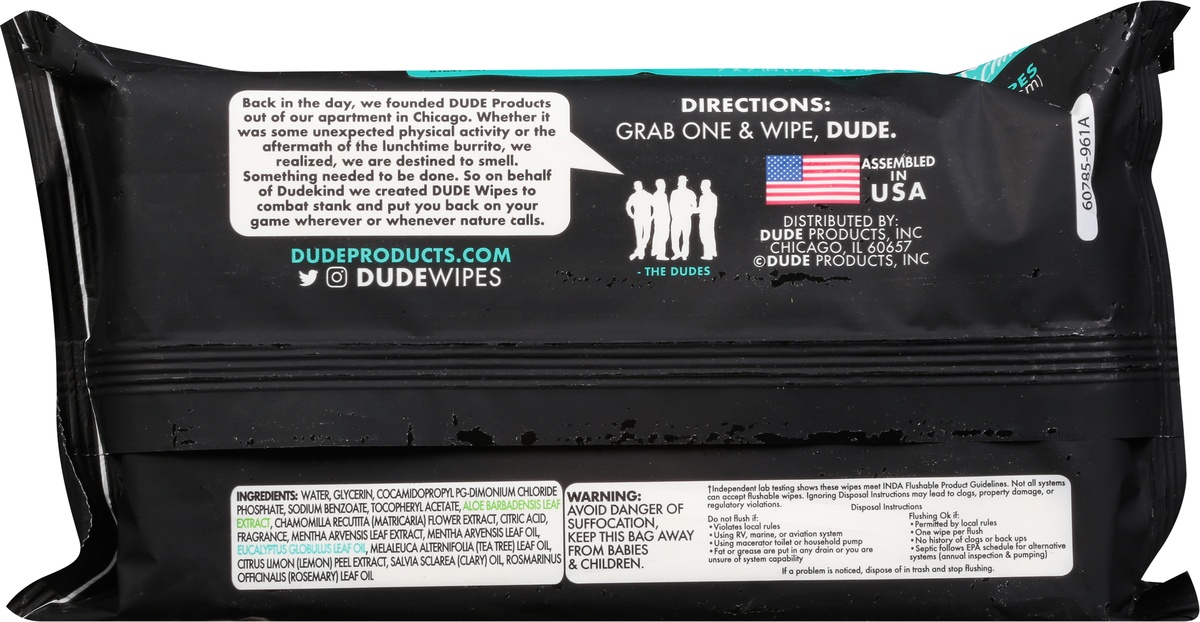 slide 7 of 10, DUDE Wipes Mint Chill Flushable Wipes, 144 ct