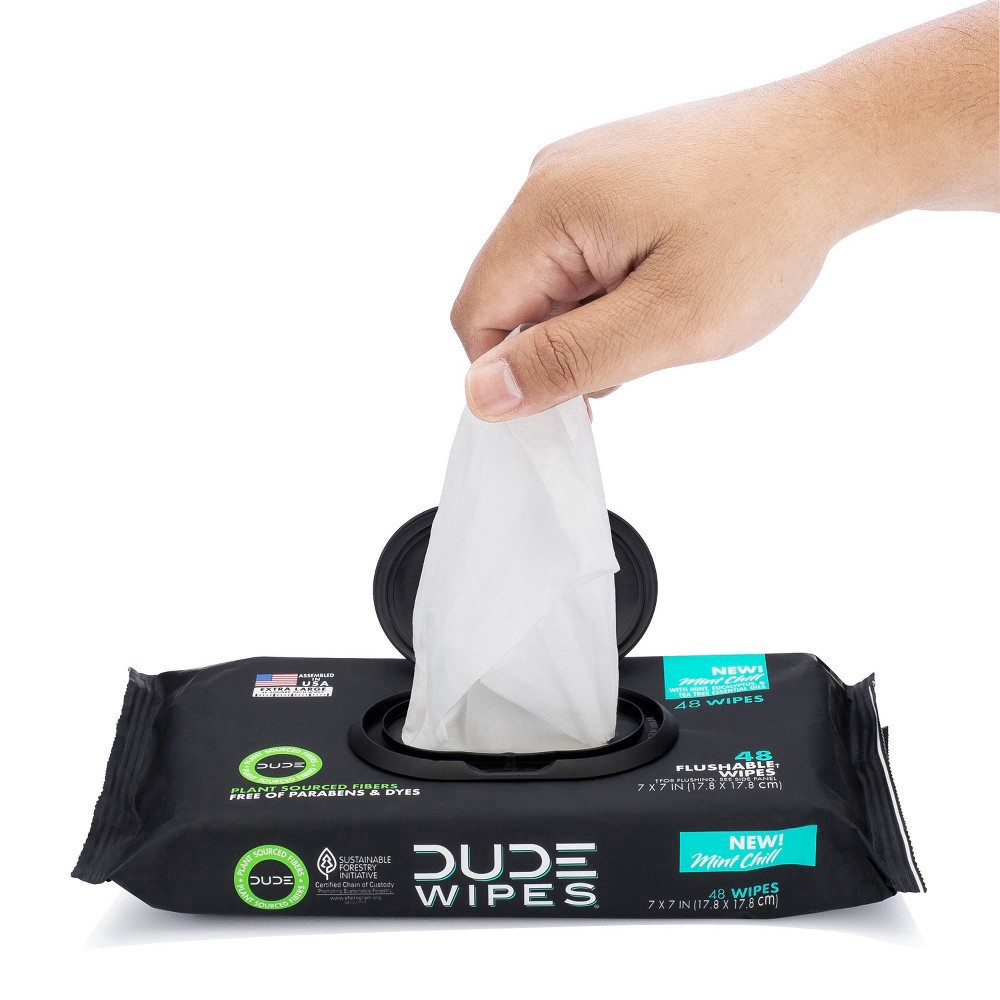 slide 4 of 9, DUDE Chill Mint Flushable Wipes XL 3 - 48 Wipe Packs, 3 ct