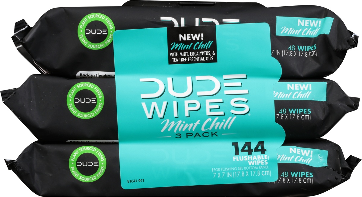 slide 8 of 10, DUDE Wipes Mint Chill Flushable Wipes, 144 ct