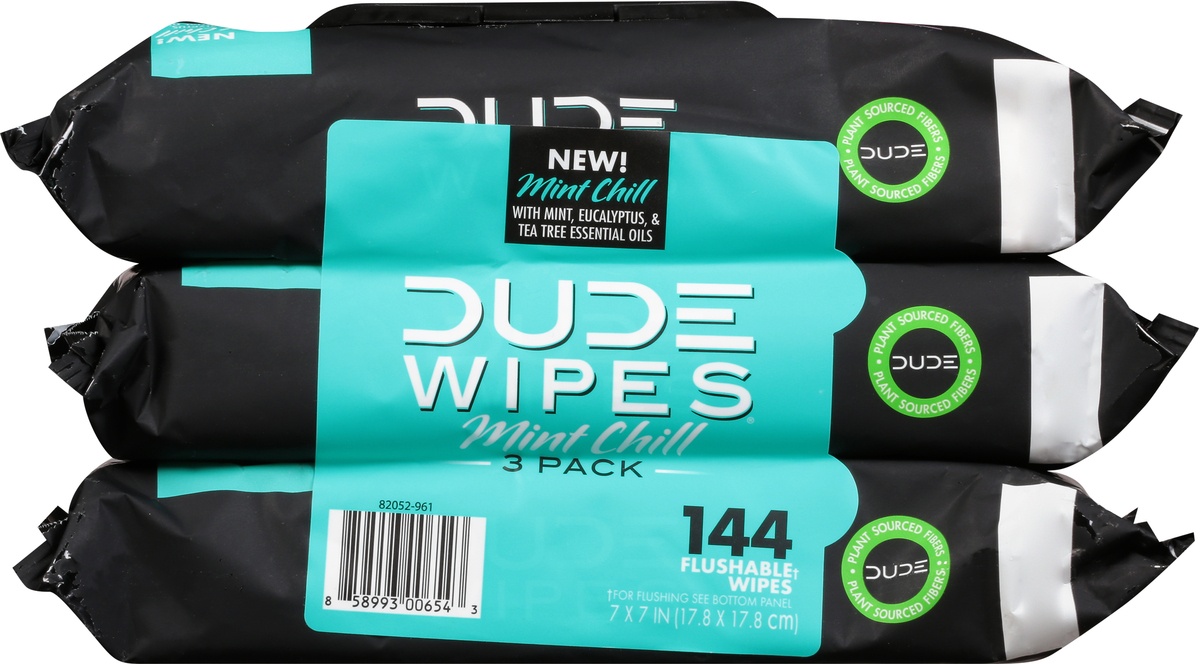 slide 9 of 10, DUDE Wipes Mint Chill Flushable Wipes, 144 ct