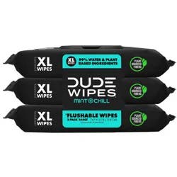 DUDE Chill Mint Flushable Wipes XL 3 - 48 Wipe Packs