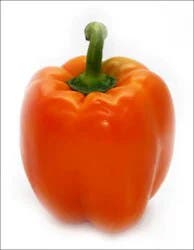 Orange Holland Peppers