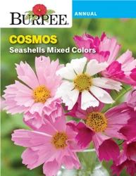 Burpee Cosmos Seashells Mixed Colors
