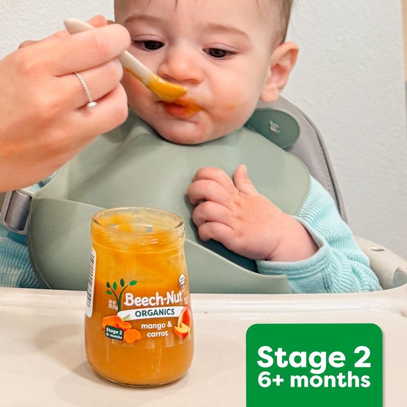 slide 6 of 7, Beech-Nut Non-GMO Organics Bananas Baby Food Jar - 4oz, 4 oz