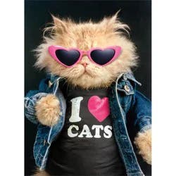 Avanti Cool Cat In Denim Jacket Just Funny Card, 4 In X 6 In, 1 Ct