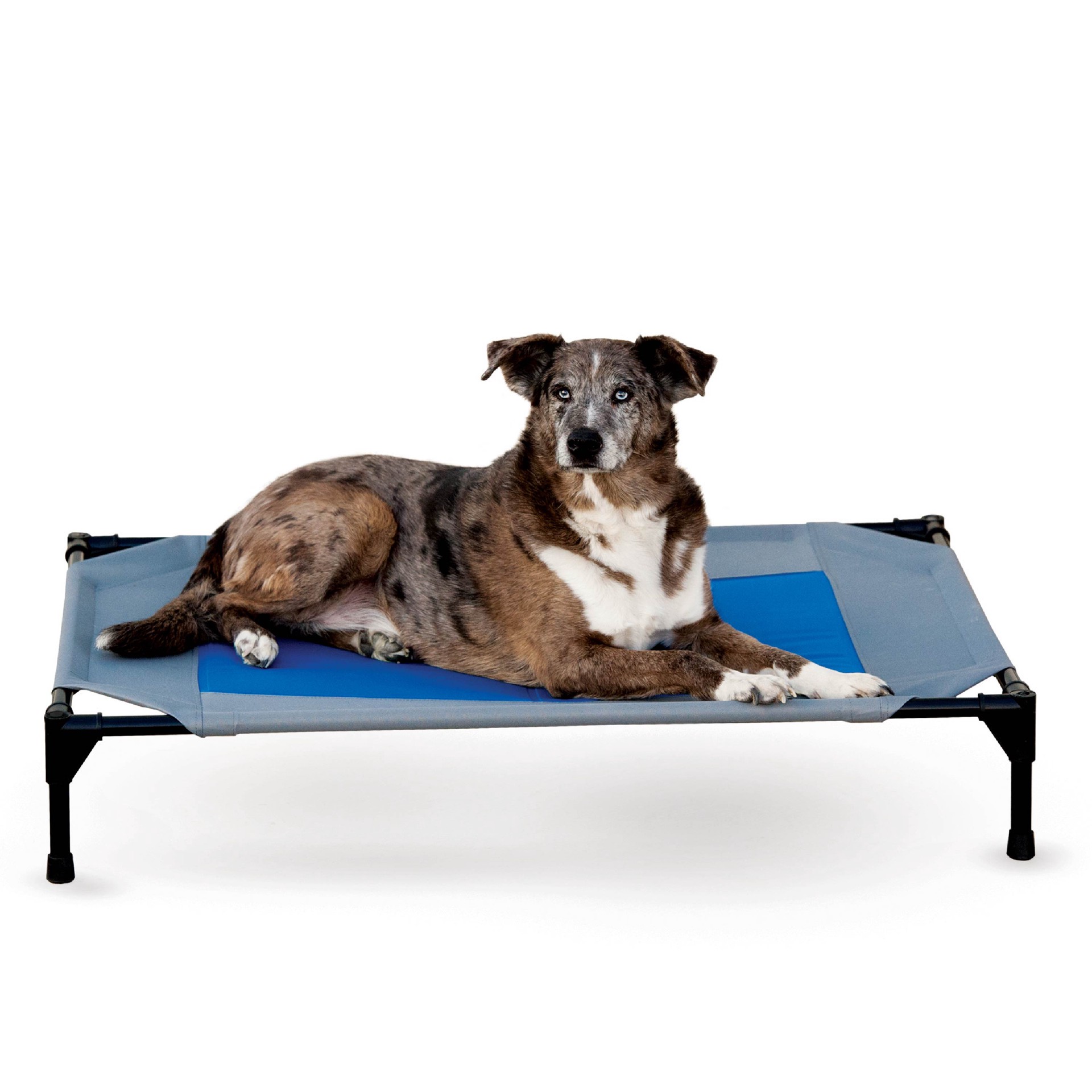 slide 1 of 10, K & H K&H Pet Products Coolin' Pet Cot Elevated Pet Bed Gray/Blue Large 30 X 42 X 7 Inches, 30 in