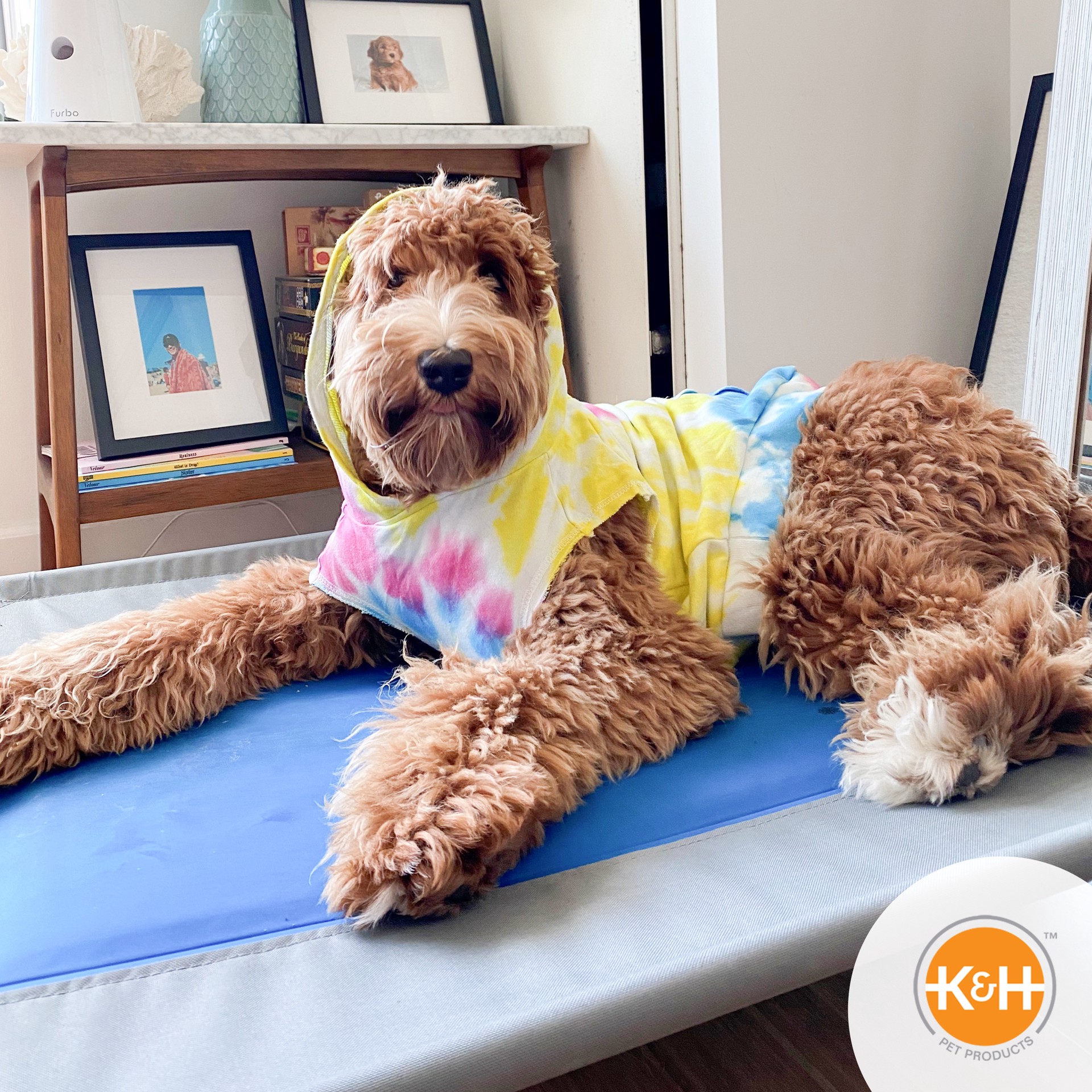 slide 7 of 10, K & H K&H Pet Products Coolin' Pet Cot Elevated Pet Bed Gray/Blue Large 30 X 42 X 7 Inches, 30 in