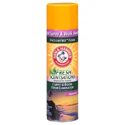 ARM & HAMMER™ Fresh Scentsations™ Carpet Odor Eliminator, Island Mist - Foam