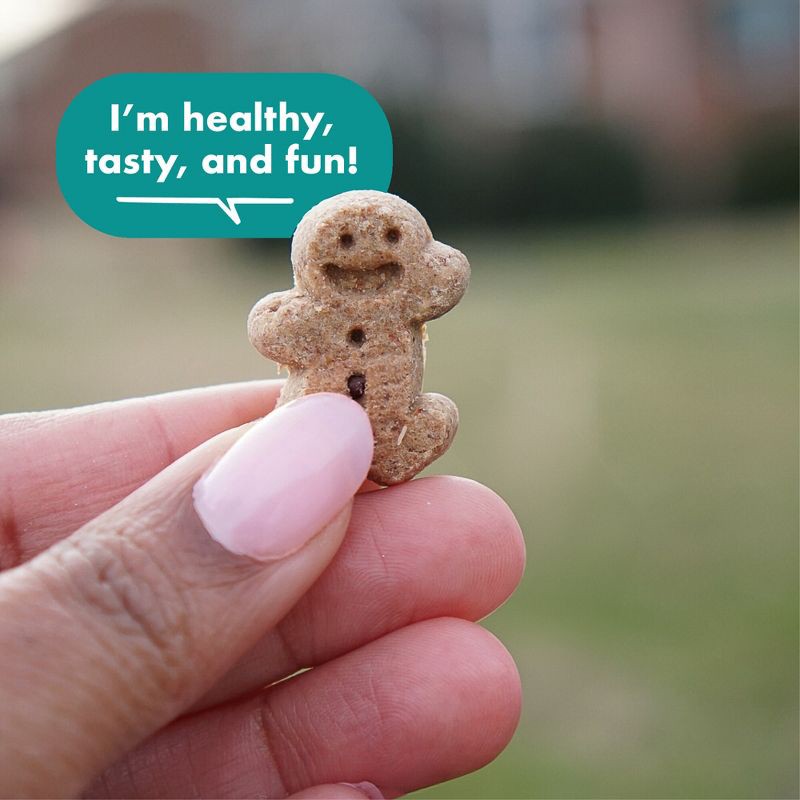 slide 4 of 10, Buddy Biscuits Chicken Hip & Joint Chews Dog Treats - 5oz, 5 oz