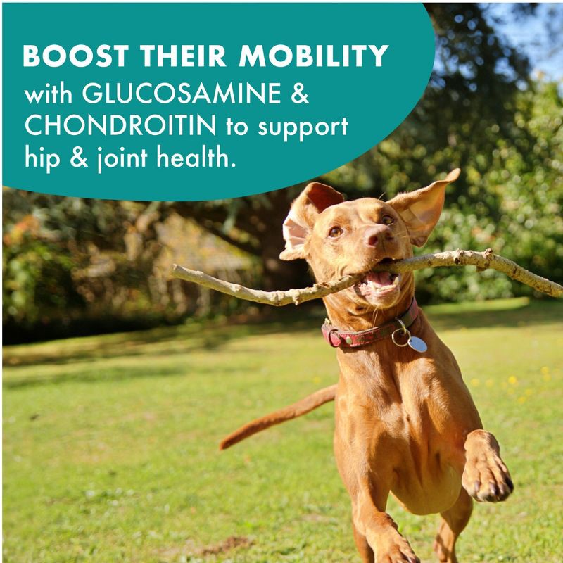 slide 7 of 10, Buddy Biscuits Chicken Hip & Joint Chews Dog Treats - 5oz, 5 oz