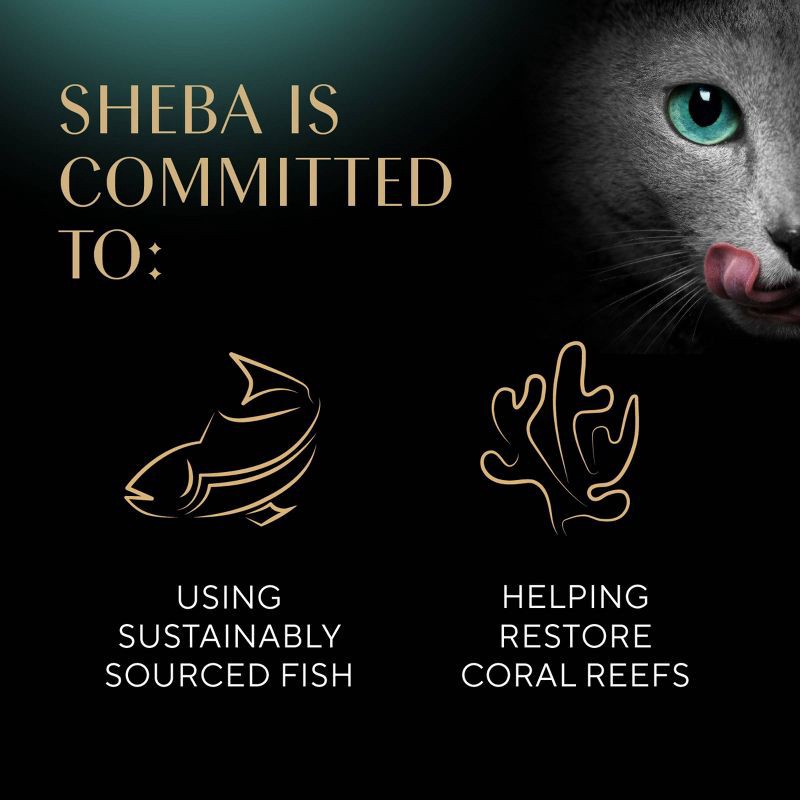 slide 8 of 11, Sheba Perfect Portions Cuts in Gravy Tender Turkey Flavor Wet Cat Food - 2.64oz, 2.64 oz