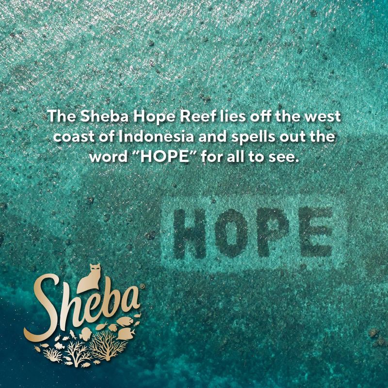slide 11 of 13, Sheba Perfect Portions Cuts in Gravy Salmon, Seafood, Gravy and Tuna Flavor Variety Pack Wet Cat Food - 2.6oz/12ct, 2.6 oz, 12 ct