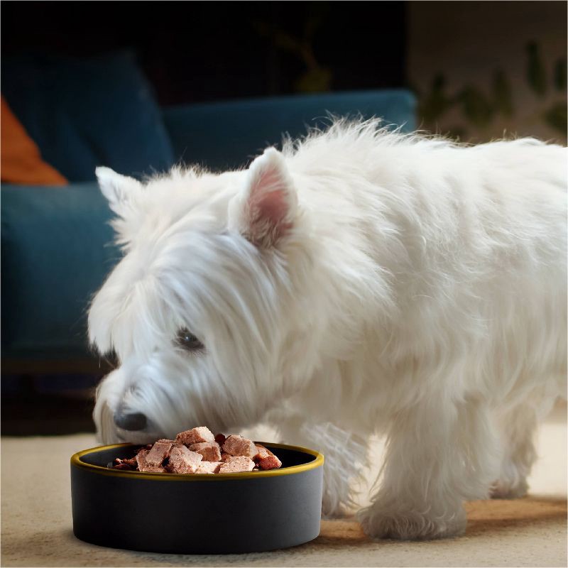 slide 6 of 16, Cesar Classic Loaf in Sauce Lamb and Gravy Flavor Small Breed Wet Dog Food - 3.5oz, 3.5 oz