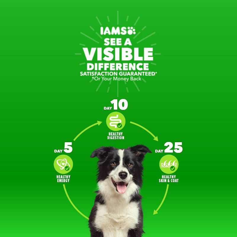 slide 4 of 11, IAMS Proactive Health Chicken Flavor Whole Grain Dry Dog Food - 40lbs, 40 lb