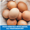 slide 6 of 21, Eggland's Best Cage Free Large Brown Eggs, 18 ct